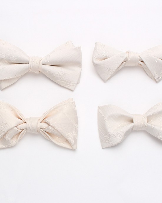 Lei'er men's groom's wedding tie, wedding dress photoshoot, Chinese-style personalized bow tie, fashionable burgundy bow tie, in stock from the manufacturer.