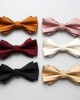 New solid-color polyester bow ties for men, business-chic wedding groomsmen bow ties and tie ties, available for wholesale.